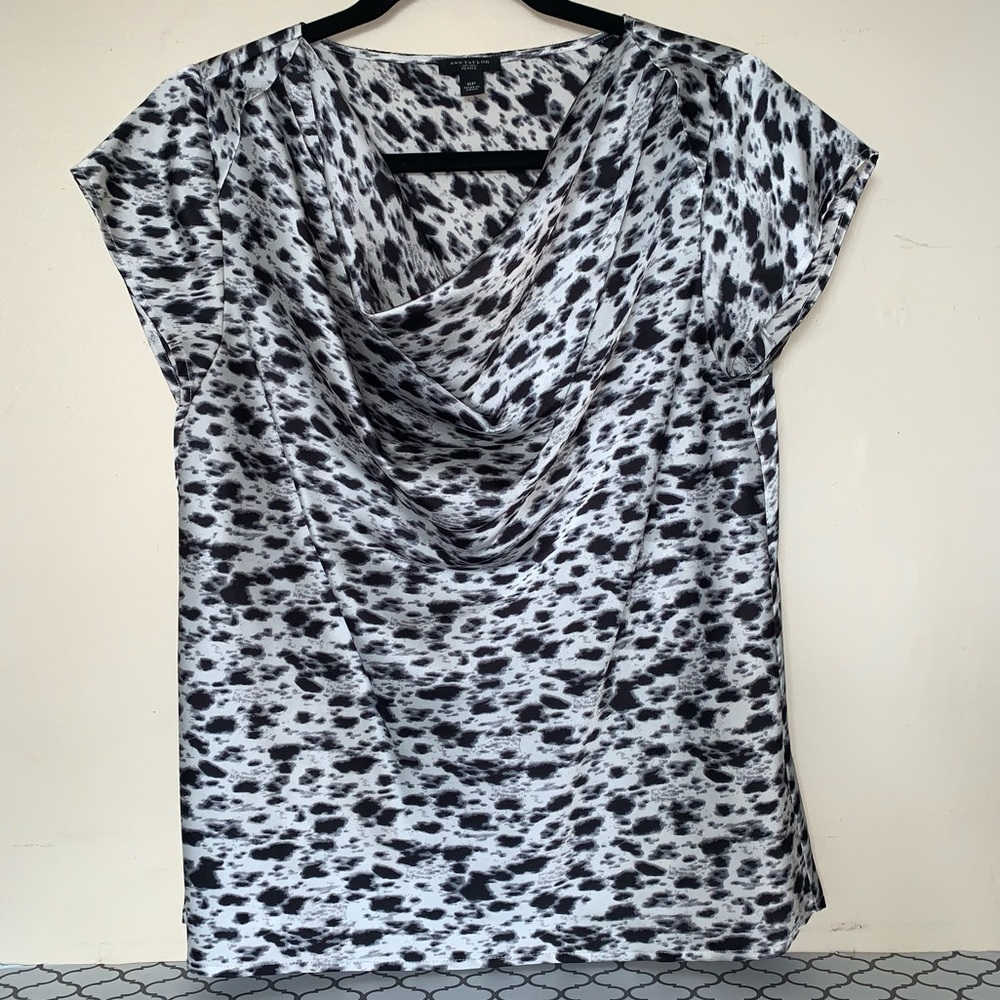 Ann Taylor Blouse Petite